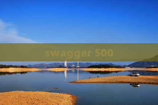 swagger 500
